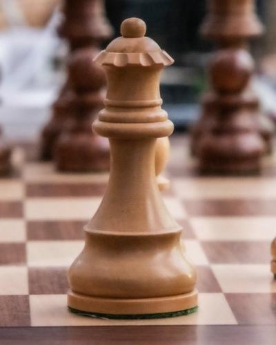 専任チーム対固定価格：AIが開発を支援する時代のソフトウェア契約の選び方